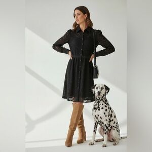 Rachel Parcell Black Lace Long Sleeve Dress. NWT